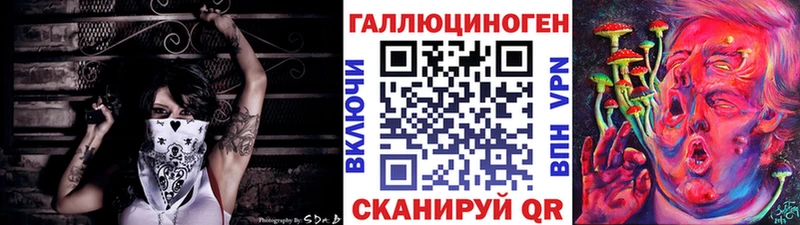 OMG tor  Заозёрск  Псилоцибиновые грибы GOLDEN TEACHER 